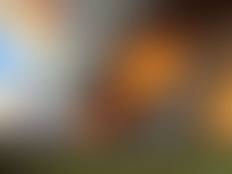 Tausende Menschen evakuiert, während Waldbrände New Mexico verwüsten 19/06/2024