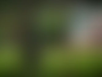 Kolumbianische Rebellen halten Amazonien bei Friedensgesprächen als Geisel 25/04/2024