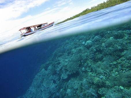 Wissenschaftler schlagen auf spanischer Tagung Alarm wegen der Erwärmung der Ozeane 13/04/2024