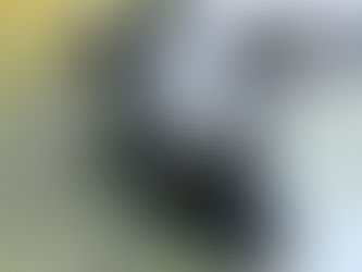 Nepals Natur durch neuen Entwicklungsschub bedroht: Naturschützer 11/05/2024