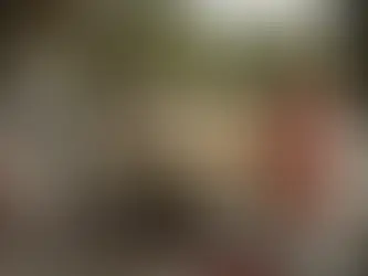 Lokale Meeresschützer und Fischer tragen eine aus einem Netz gerettete Unechte Karettschildkröte (Fredrik Lerneryd) (Fredrik Lerneryd/AFP/AFP)