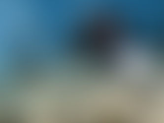 Länder streiten bei neuen UN-Gesprächen um Geld für die Natur 25/02/2025