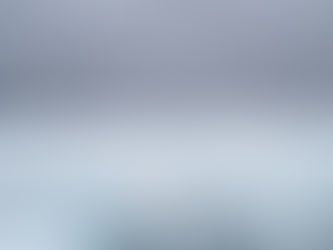 Polar Bears International Foto eines Eisbären in Svalbard, Norwegen, im Jahr 2018 (Foto: BJ KIRSCHHOFFER)