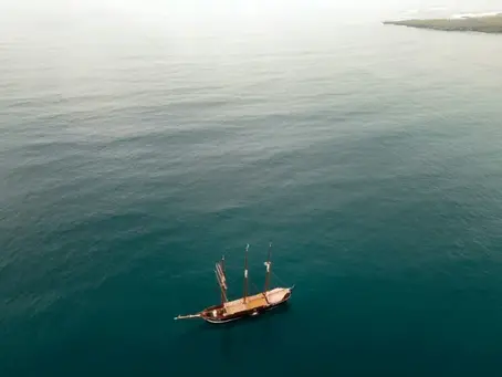 Auf Darwins Spuren: Wissenschaftler stellen historische Expedition aus den 1830er Jahren nach 29/05/2024