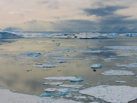 Rekordtiefes Meereis in der Antarktis „wahrscheinlich auf Klimawandel zurückzuführen“ 21/05/2024