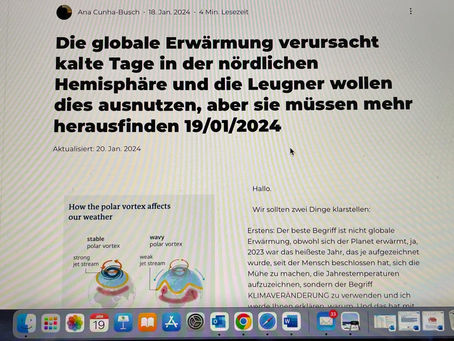 Von Kochtöpfen und Lebensmittelfotos zu einer Online-Zeitung - MEINUNG -               Ein Jahr der Zeitung                             19/01/2025