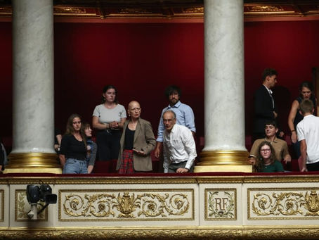 The legislation to reintroduce in France acetamiprid, a pesticide that is harmful to ecosystems but popular with many farmers in Europe, was adopted on July 8 (Guillaume BAPTISTE) (Guillaume BAPTISTE/AFP/AFP)