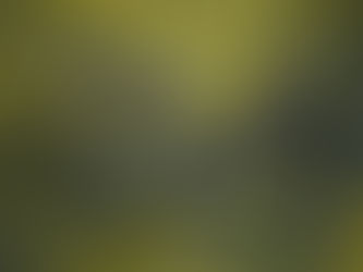 Lachsfischerei vor der kalifornischen Küste das zweite Jahr in Folge verboten 13/04/2024