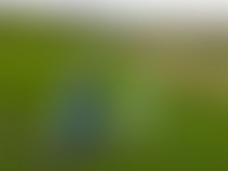 Die größten Privatunternehmen der Welt setzen sich keine Klimaziele: Bericht 22/04/2024