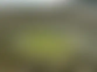 Hitzewelle lässt Temperaturrekorde in Vietnam fallen 5/05/2024