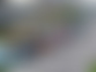 Sieg für die Opfer von Mafia-Müll im „Land der Feuer“ Italiens 31/01/2025