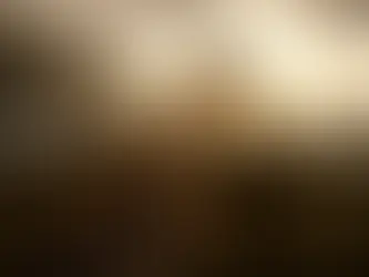 Giraffen bringen Frieden in kenianische Gemeinden, die einst zerstritten waren 22/07/2024