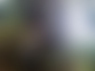 Foto einer jungen Frau, die einen Baum umarmt/Privates Archiv