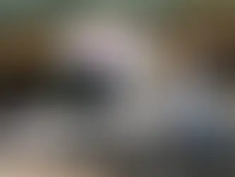 Exxon spielt mit harten Bandagen gegen Klima-NGOs. Wird das die Investoren interessieren? 29/05/2024