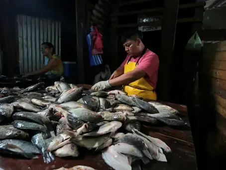 Die Aquakultur überholt erstmals die Wildfischerei: UN-Bericht 8/06/2024