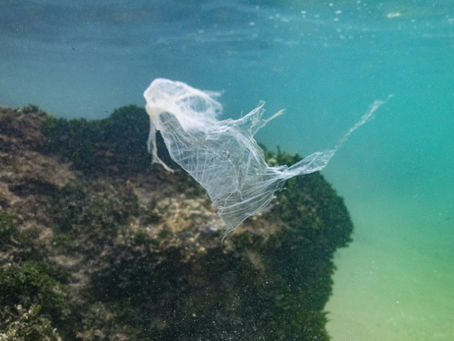 Länder konnten sich nicht auf einen gemeinsamen Nenner zur Bekämpfung der Plastikverschmutzung einigen (OLIVIER MORIN)
