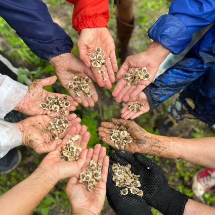 Image: Women's hands in the Córrego da Tiririca collective