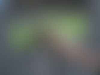 Elefanten wurden mit einem Kran auf Anhänger verladen (Ivan MEDINA)