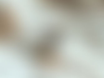 Mongolische Wildtiere durch Überweidung gefährdet 9/05/2024