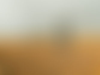 Daten ernten": Lateinamerikanische KI-Startups verändern die Landwirtschaft 20/04/2024