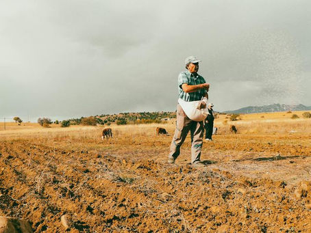 Daten ernten": Lateinamerikanische KI-Startups verändern die Landwirtschaft 20/04/2024