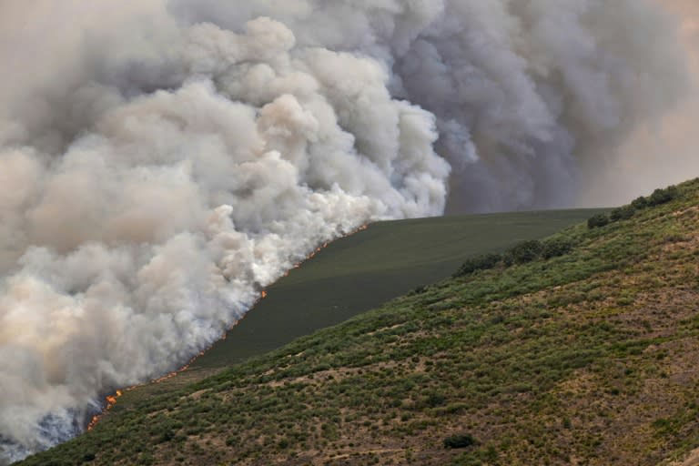 Spain and Portugal have been badly hit by a succession of heatwaves and drought, fuelling a wave of wildfires (Cesar Manso) (Cesar Manso/AFP/AFP)