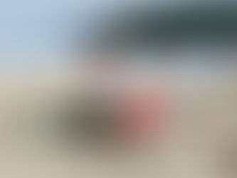 Reprodução/greenqueen.com.hk/