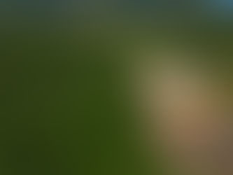 Illegale wirtschaftliche Aktivitäten haben die Abholzung im Atlantischen Regenwald in Brasilien verstärkt.Die Studie untersuchte Bilder, die aus dem Weltraum aufgenommen wurden.