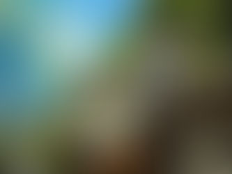 Österreichische Gruppe inszeniert Klimawandel-Coup auf Google Maps 22/06/2024