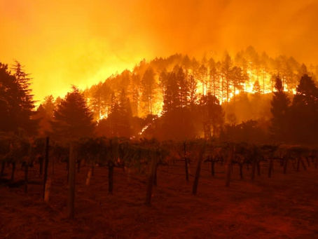 Frühe Waldbrände führen zu Evakuierungen in Kanada 13/05/2024