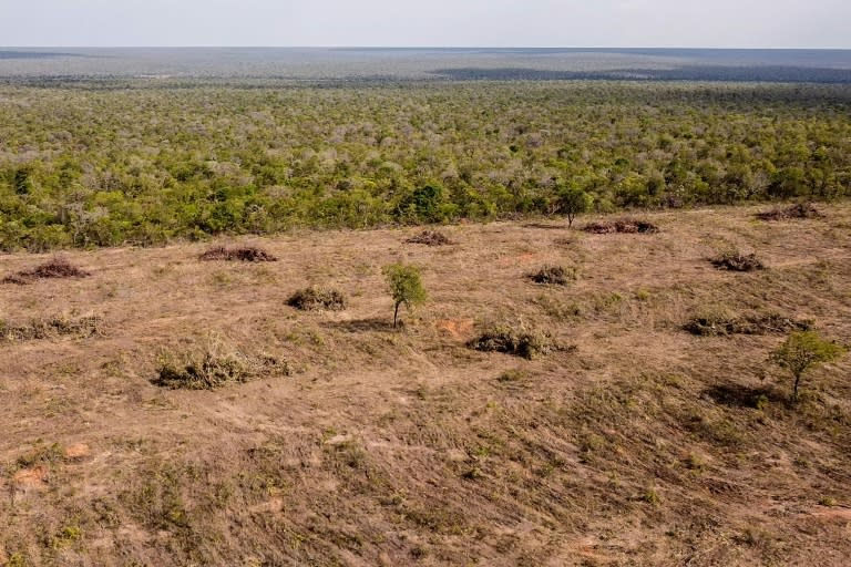 Luftaufnahme der Zerstörung der einheimischen Vegetation in der Cerrado-Savanne in Sao Desiderio, Brasilien