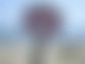 Dorf in Großbritannien kämpft gegen den Klimawandel 20/07/2024