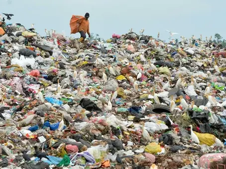 Plastic waste has been found from the bottom of the seas to the tops of mountains (LAKRUWAN WANNIARACHCHI). LAKRUWAN WANNIARACHCHI/AFP/AFP