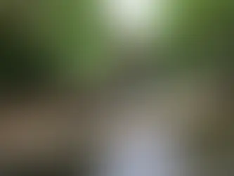 Ein Freiwilliger errichtet eine natürliche Hochwasserschutzanlage am Saffron Brook in Leicester (Darren Staples) (Darren Staples/AFP/AFP)