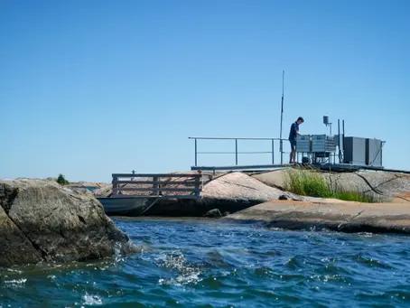Erwärmung der Ostsee: Alarmsignal für die Weltmeere. 10/07/2024
