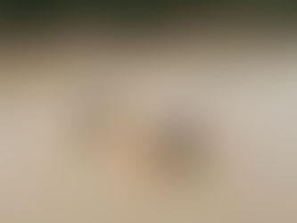 Fischer verwenden Netze, um Fische zu fangen, während sie auf Kalebassen im Sokoto-Fluss liegen, der lokal als Maten Fada bezeichnet wird, in Argungu, Kebbi State, im Norden Nigerias, am 12. April 2025. (Foto von Suzanne Lassen / AFP)