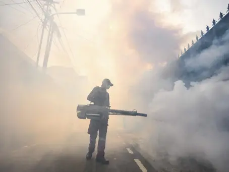 Heißer, trockener, kränker? Wie ein sich verändernder Planet Krankheiten hervorbringt 11/05/2024