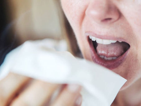 Vogelgrippe-Fälle beim Menschen geben Anlass zu großer Sorge": WHO 20/04/2024