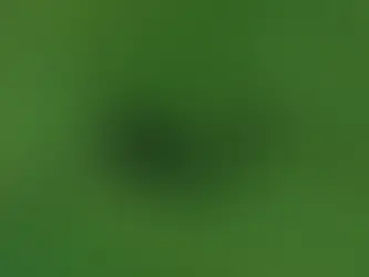 Argentiniens Riesennager wurden wie Hulk durch Algen grün gefärbt 14/02/2025