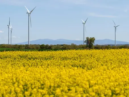 Stromnetze müssen sich weiterentwickeln, um sich an die Abkehr der Länder von fossilen Brennstoffen anzupassen (CESAR MANSO)