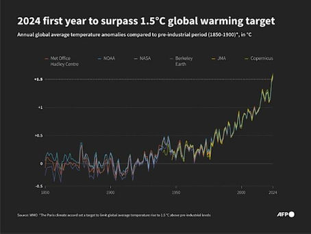 2024 wird das erste Jahr sein, in dem das Ziel der globalen Erwärmung um 1,5 °C überschritten wird (Sabrina BLANCHARD) (Sabrina BLANCHARD/AFP/AFP)