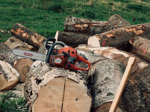 Photo Unsplash by Maurits Bausenhart