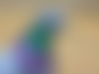 Eine Taube. Bildquelle: Pixabay/CC0 Public Domain