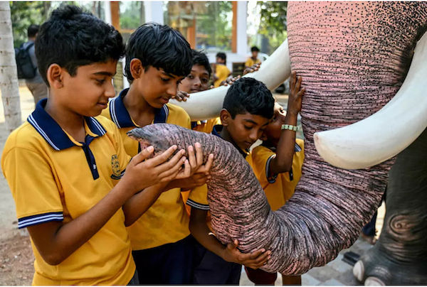 Boys look at the trunk of a robotic elephant recently supplied by the Voice for Asian Elephants Society (VFAES), outside the Chakkamparambu Bhagavathy temple in Thrissur, in the Indian state of Kerala © R. Satish BABU / AFP.