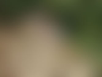 Die Zahl der Todesopfer bei einem Erdrutsch in China steigt auf 8, 19 werden vermisst 05/08/2024