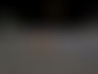 Brasilien hofft, mithilfe von KI Wildtiere vor dem Tod auf der Straße zu retten 23/04/2024