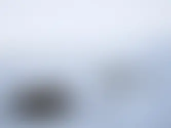 Wissenschaftler erhalten den Welternährungspreis für ihre Arbeit am Globalen Saatguttresor 11/05/2024