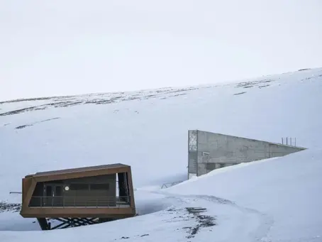 Wissenschaftler erhalten den Welternährungspreis für ihre Arbeit am Globalen Saatguttresor 11/05/2024