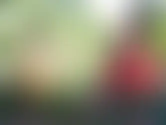 Streitigkeiten zwischen Bauern und Hausbesetzern in Brasilien explodieren 7/06/2024