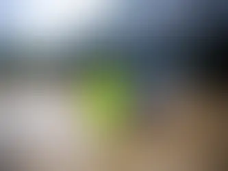 Erdrutsche fordern 6 Verletzte, während sich Südchina auf "Jahrhunderthochwasser" vorbereitet 21/04/2024